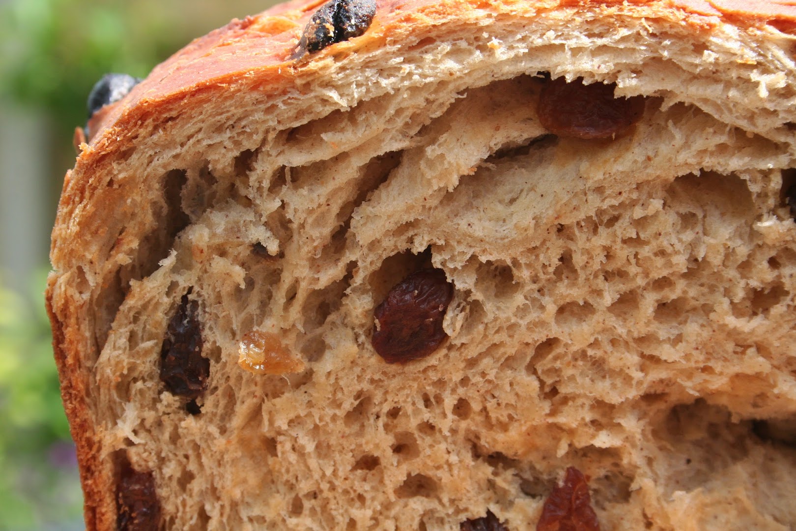 Spelt & Rye Artisan Bakery / Deli · Photos 4